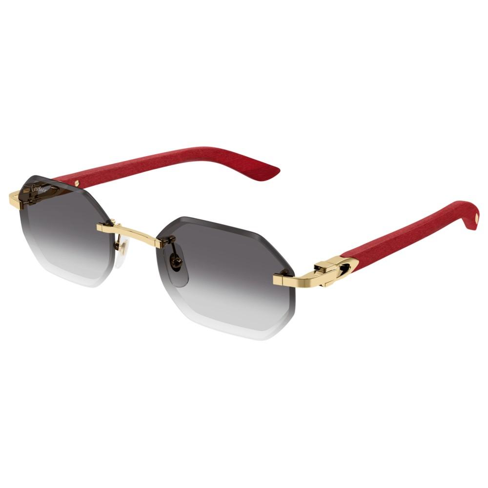 Glasses Occhiali Da Sole Uomo Cartier CT0439S